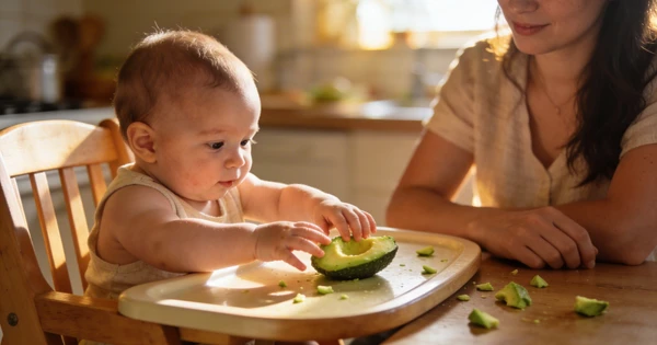 Alimentación Complementaria: Guía Completa para Empezar
